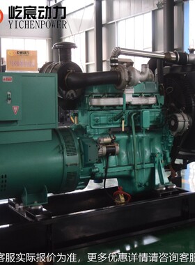 75k柴油w小型发电机组 工地YC-L75GF校学养殖场备用电源 潍发坊电
