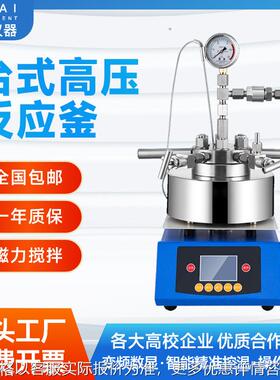 高温高压反应釜 升降不锈钢反应釜FCF-1L 2L 5L