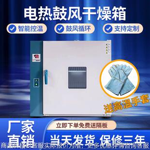 大学实验室电热恒温鼓风干燥箱高温工业烘箱工业烤箱恒温箱老化箱
