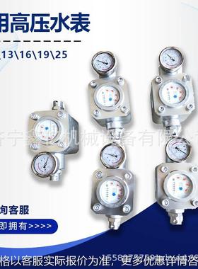 煤层双功能直插式水表采煤注水测压流量ZGS矿用高压水表