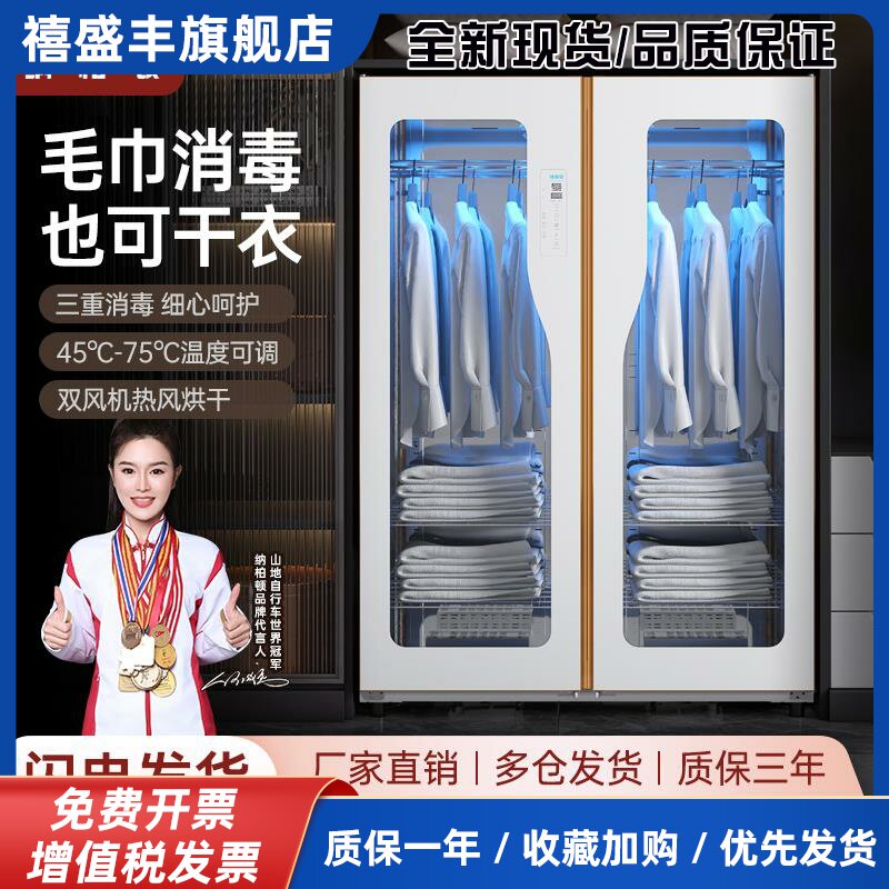双门毛巾消毒柜美容院理发店足浴商用浴巾拖鞋干衣衣物护理烘干机