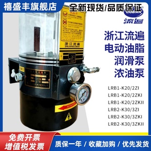 2ZKI 浙江流遍润滑泵LRB1 K30 3ZI浓油泵LRB2 冲床电动黄油泵 K20