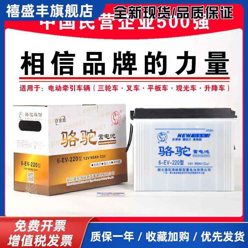 骆驼水电瓶蓄电池电动三轮车60v大容量铅酸水电池48v叉车拉货专用