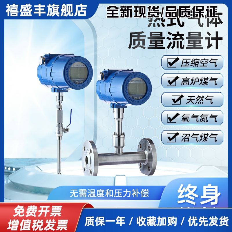 恩耐德热式气体质量流量计氧气天然气烟气压缩空气蒸汽涡街流量表