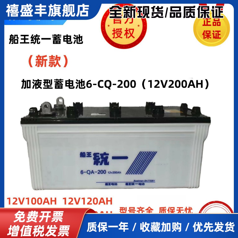 船王统一蓄电池N200船舶启动照明6-CQ-200电动叉车N120N150发电机
