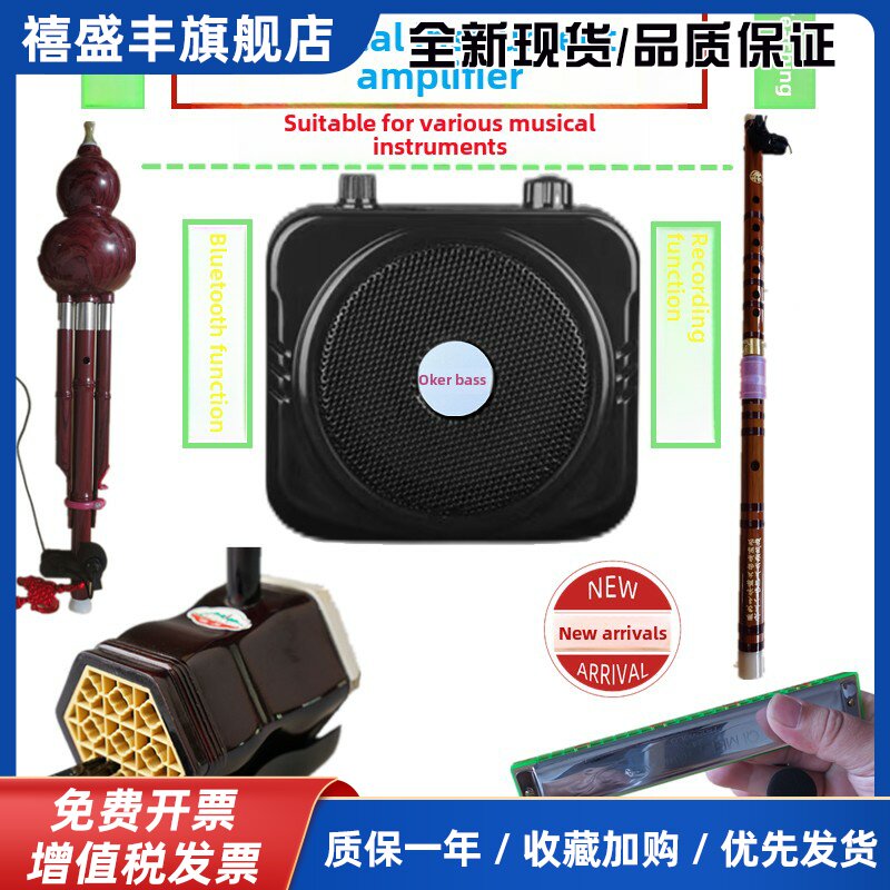 葫芦丝口琴二胡长笛中阮板长笛户外教学霍金导游手提式扬声器