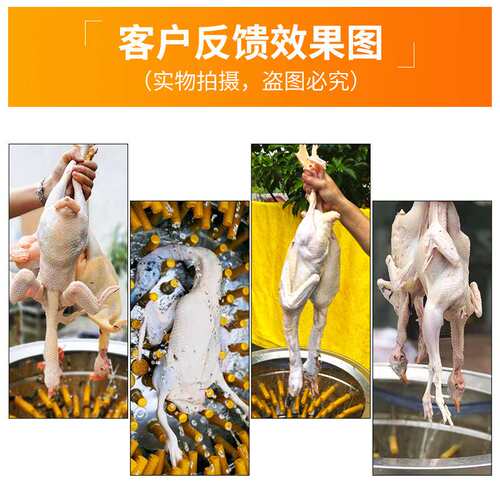 伟基业商用脱毛机鸡鸭鹅不锈钢电动杀鸡全自动三鸟家禽去毛拔毛机