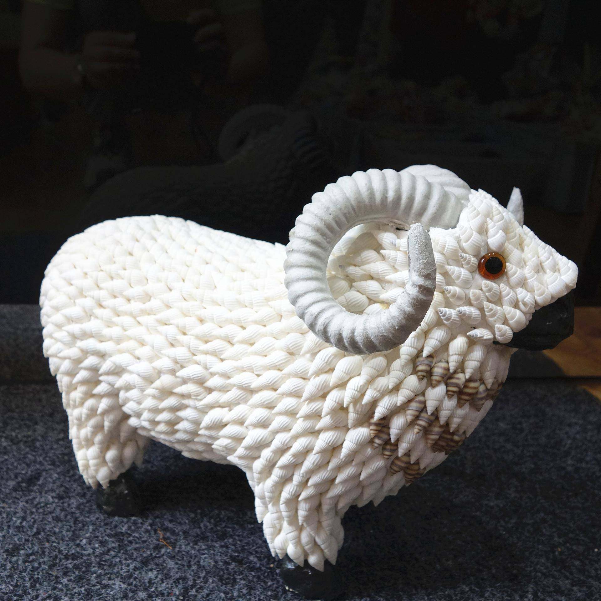 包邮海螺贝壳工艺品贝壳动物贝壳羊摆件景区旅游纪念品,纺织面料/辅料/配套,纺织机械配件,淘宝优惠券,粉丝福利购,淘宝优惠卷