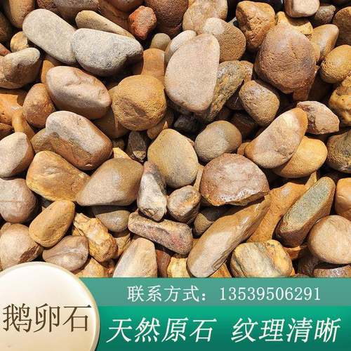 园林景观鹅卵石白色黑色彩色铺路雨花石污水处理滤料变压器石