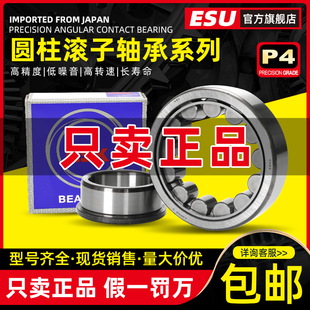 204 205 209EW NU202 EMC3圆柱滚子轴承 208 203 207 进口NSK 206