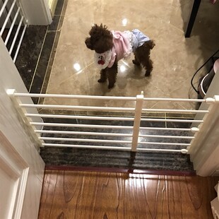 免打孔小型犬宠物隔离门狗狗挡门栅栏围栏室内厨房小狗门栏可拆卸