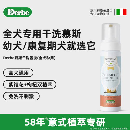 DERBE意大利进口干洗慕斯香波