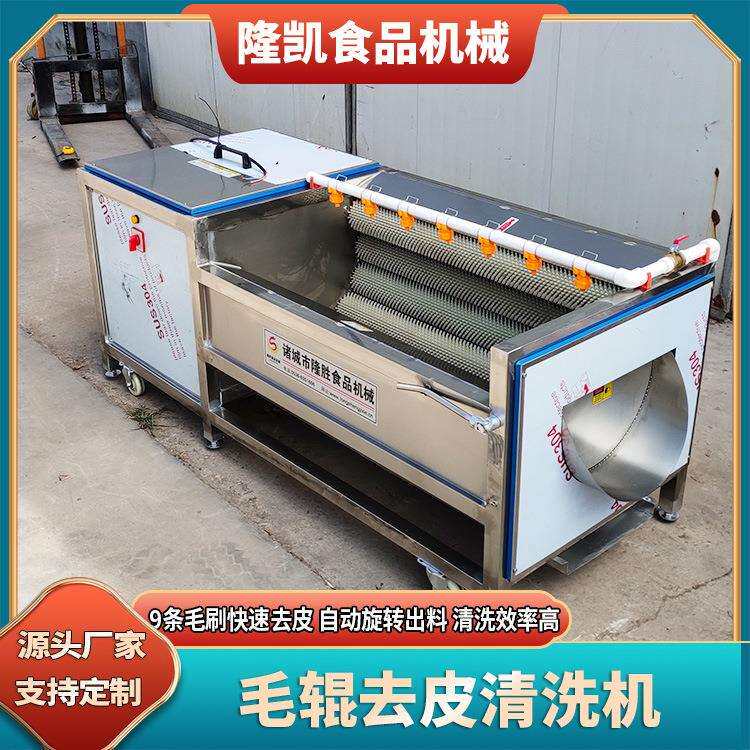 根茎类蔬菜毛辊清洗机 带壳类海鲜清洗设备 全自动毛刷去泥清洗机