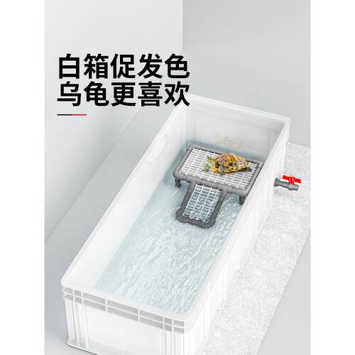 龟缸、龟繁殖池、大型龟繁殖箱、龟周转箱、户用排水养龟专用生态