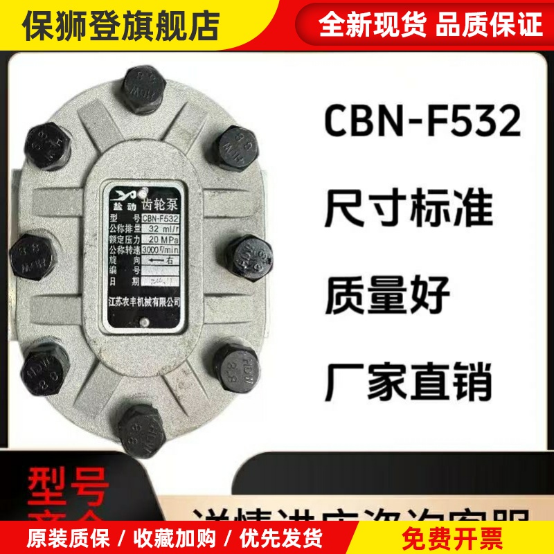 液压油泵CBN-F/E532550563580新款液压齿轮泵高压总成一整套