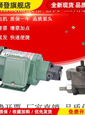 TOP-12A/13A齿轮油泵电机ROP11A三角摆线泵380V机床车床润滑220V