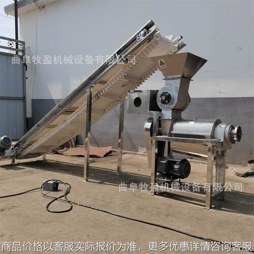 大型工业不锈钢螺旋榨汁机 苹果梨破碎压榨机 荔枝杨梅去核打浆机