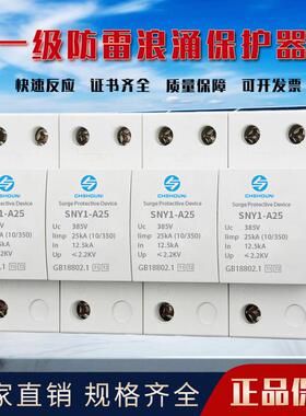 一级浪涌保护器10/350us12.5KA25KA机房配电箱电源工业防雷器limp
