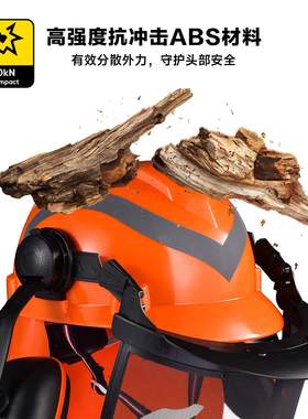 SAFEYEAR 林业电锯安全帽可调节SNR耳罩网状护目镜M-5009OR