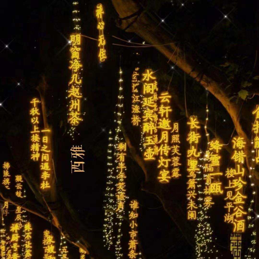 厂家直供LED诗词灯灯串挂树灯节庭院装饰网红步行街吊挂灯