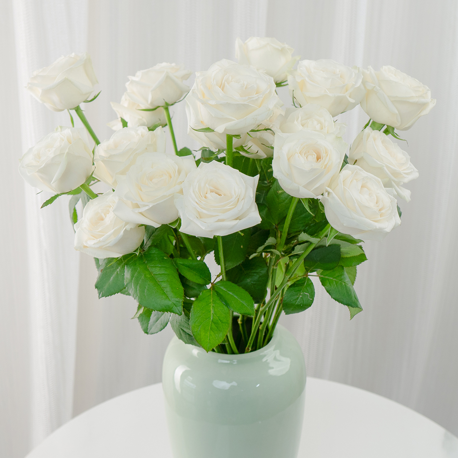 AB级骄傲玫瑰花鲜花云南基地直发AB级鲜切花室内水养花束高品质