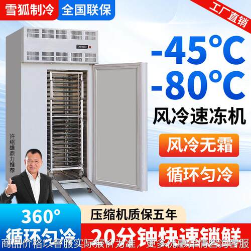 商用速冻柜急冻冰箱包子饺子急冻柜零下40度速冻速冻机冻海鲜