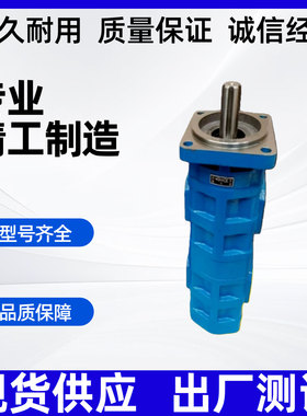 天津PERMCO泊姆克齿轮泵三联泵煤机钻机高压泵P124A082TPZA15-85