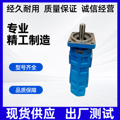 天津PERMCO泊姆克齿轮泵