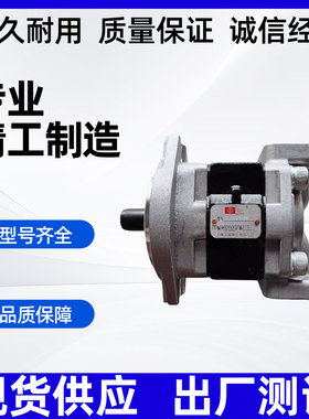 天津岛津液压齿轮泵SGP1A 31.5 36 D2H1-R398D D2HH1-R叉车油泵