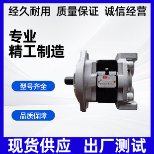 31.5 D2HH1 R398D R叉车油泵 D2H1 天津岛津液压齿轮泵SGP1A