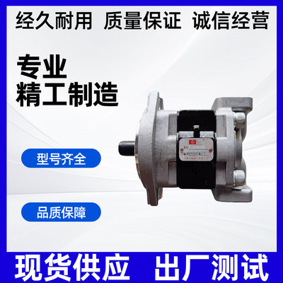 天津岛津液压齿轮泵SGP1A