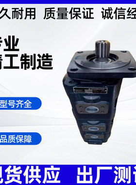 泊姆克液压泵PERMCO齿轮泵高压油泵总成P7600-F63/F80/F100/F112