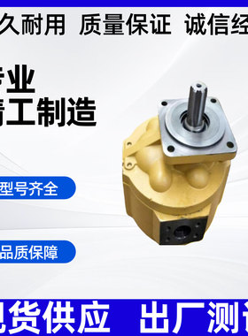 CBGJ齿轮泵齿轮油泵CBGJ1016/1025/1032/1040/1045/1050/CBGJ3100