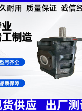 1FL-1FR-1TL-1TR钻机液压齿轮泵油泵CBY2010 2016 2025 2032 2040