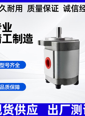 P204高压齿轮泵P208RT01DT P225RT01DT齿轮泵P206RT01DT液压油泵