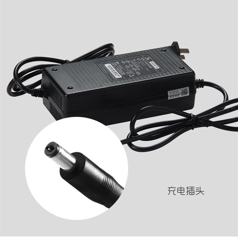 悠骑电动自行充电车器池输入