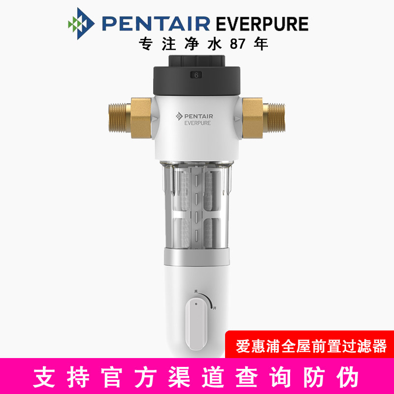 滨特尔爱惠浦前置反冲洗自来水管道中央