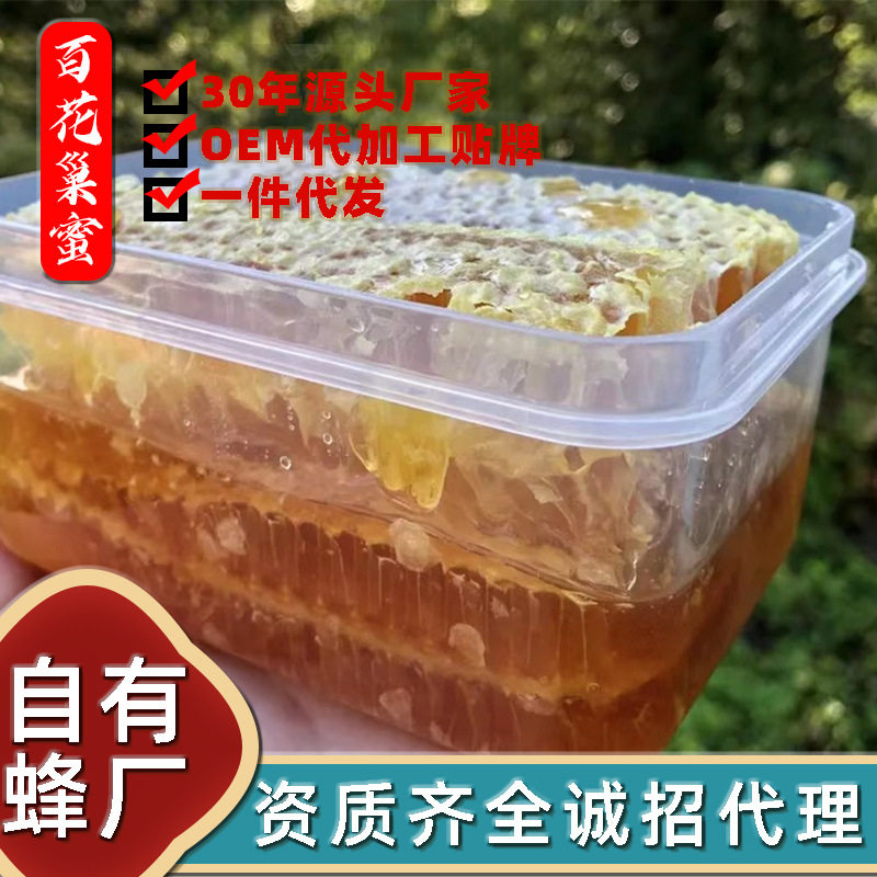 一件嚼着吃百花巢蜜盒装 农家自产成熟蜜块百花蜂巢蜜500g