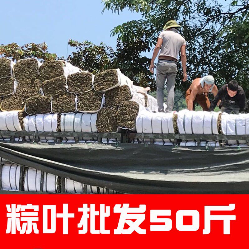 粽叶50斤粽子叶整捆干大号新鲜免邮棕叶越南麻竹子叶箬叶散装大