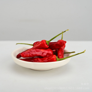 产地直供 猛辣型耐煮卤菜火锅油泼辣椒面调味品 福建辣椒王朝天椒