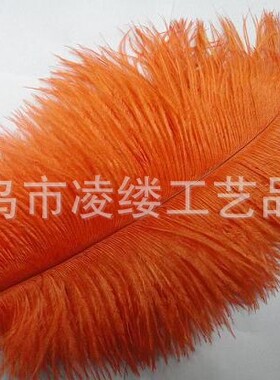 现货供应鸵鸟毛羽毛婚庆装饰舞台