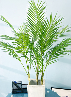 15叉仿真散尾葵把束假棕榈树植物