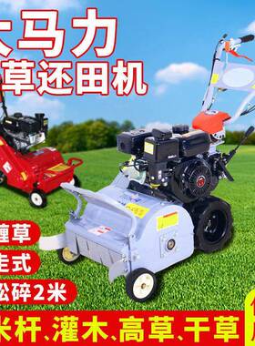 碎草机小型家用走打马草机园秸秆VZD杂草除草机林柴油大自力割草