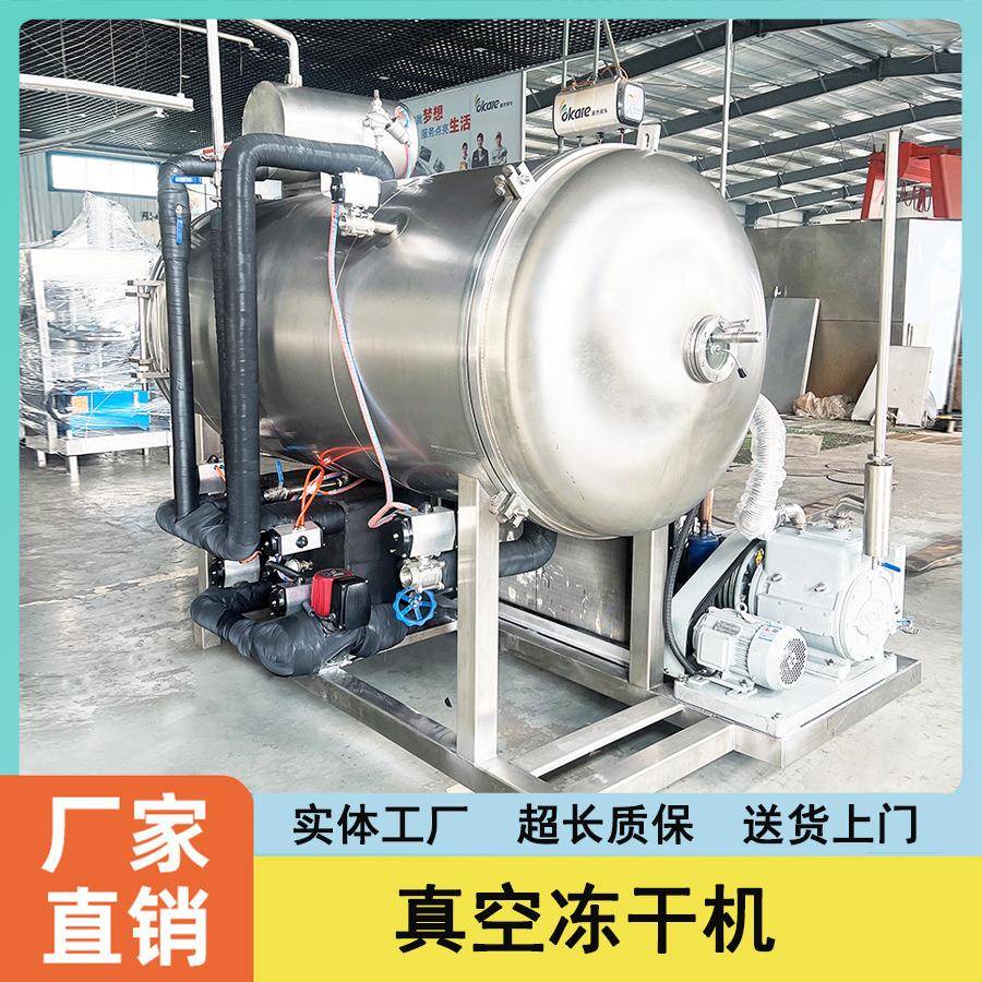 葚冷冻干燥机 贝贝瓜干脱水真冻干机空 鱼胶桑真南HSDG-5空冷冻干