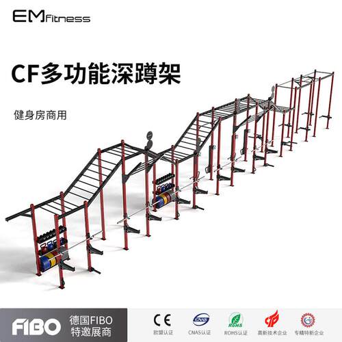 CF训练架30柱龙门架Crossfit综合体能力量深蹲攀爬多功能拉伸器械