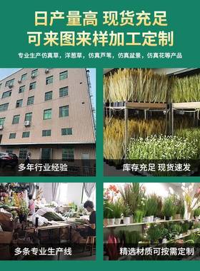 仿真洋葱草芦苇草婚庆具室内装饰道假物盆花栽植落地绿色塑SY06料