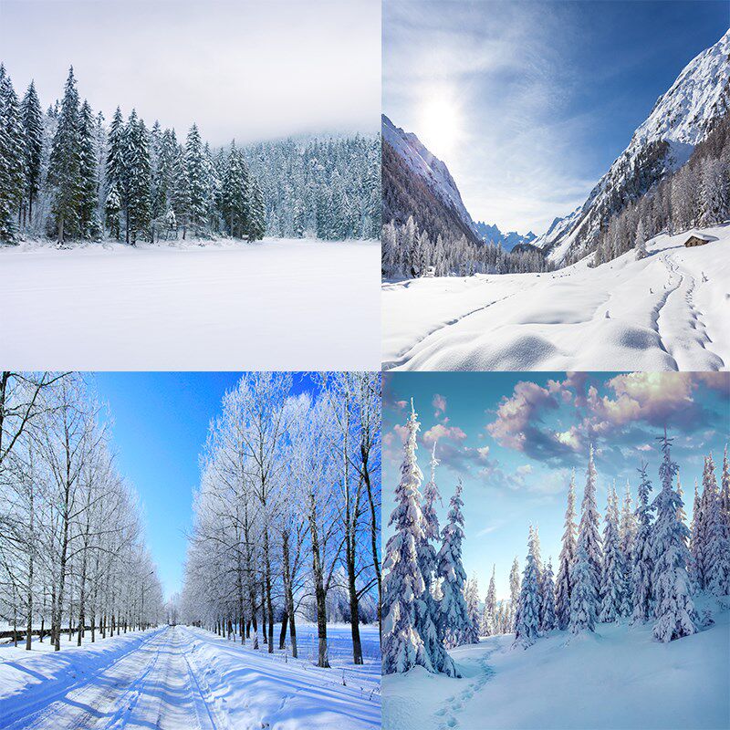 冬季雪景拍照背景婚纱题写真梦幻背景风景背景模特拍照背景布
