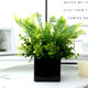 仿真艺假新室内客厅办公桌面绿植盆景家居装 饰