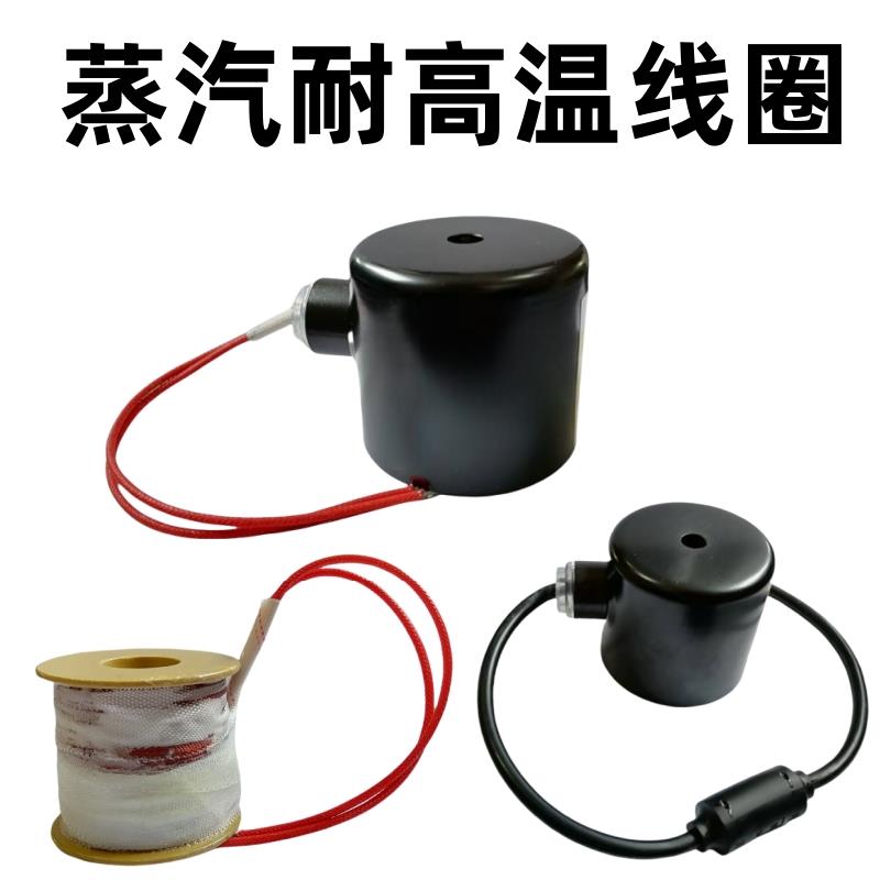 高温蒸汽电磁阀线圈适用US ZQDF 2L ZBSF系列220v380v110v24v 12v