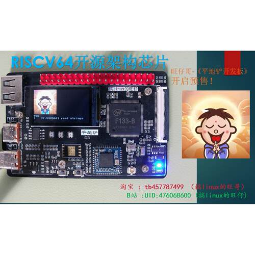 平地铲开发板，riscv架构国产芯片，板载小屏幕，可启动linux。